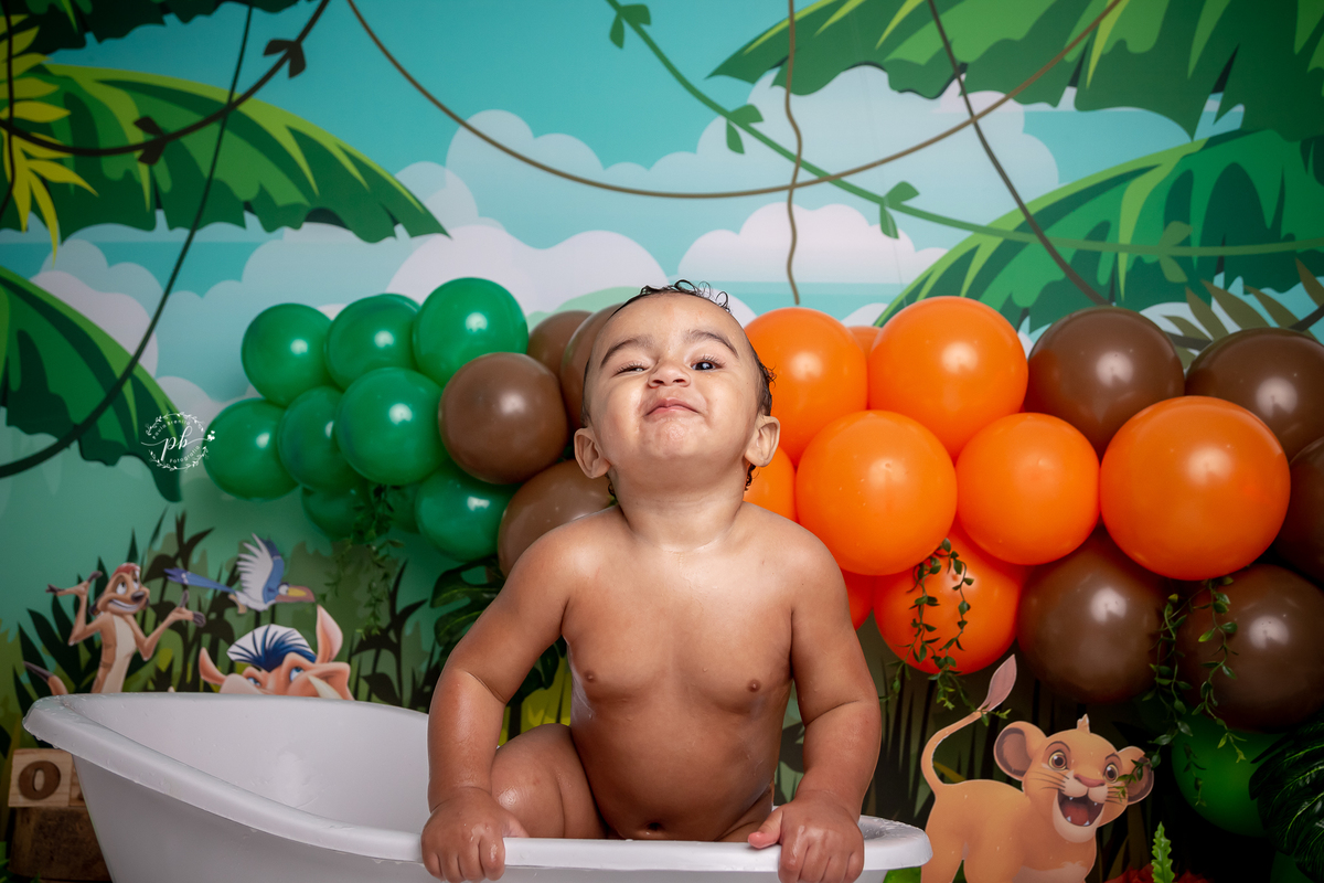 O Rei Leão - Simba - Disney - smash the cake - pré festa - ensaio infantil - Rio de Janeiro - RJ