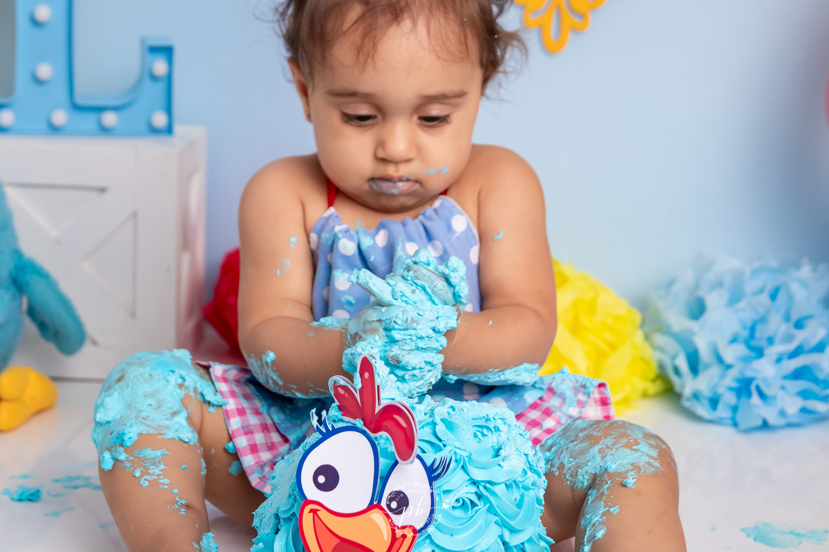 Ensaio Infantil Galinha Pintadinha - Galinha Pintadinha - Smash The Cake - Rio de Janeiro - RJ 