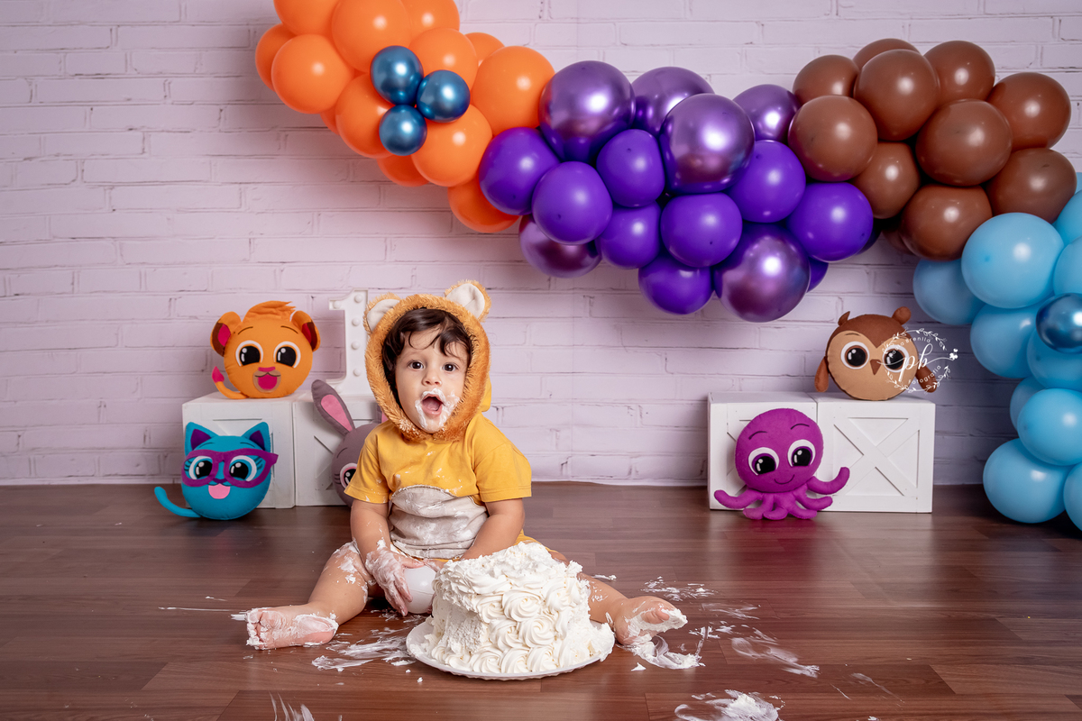 Ensaio Infantil Bolofofos - Bolofofos - Smash The Cake - Rio de Janeiro - RJ