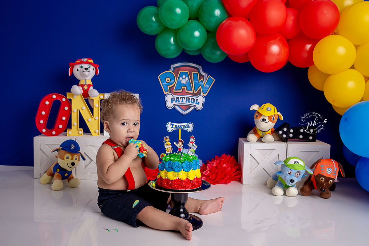 Ensaio Infantil Patrulha Canina - Patrulha Canina - Smash The Cake - Rio de Janeiro - RJ