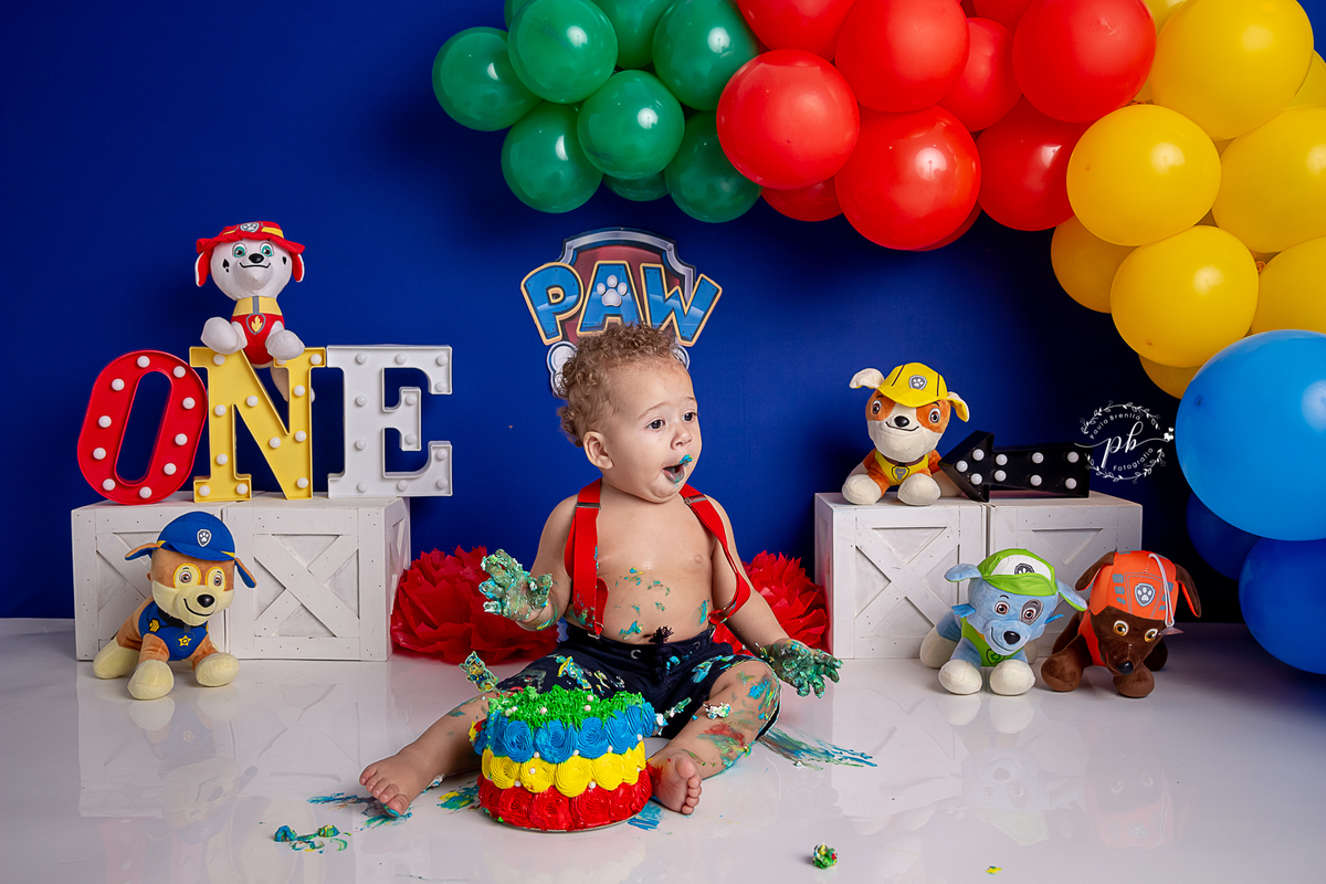 Ensaio Infantil Patrulha Canina - Patrulha Canina - Smash The Cake - Rio de Janeiro - RJ