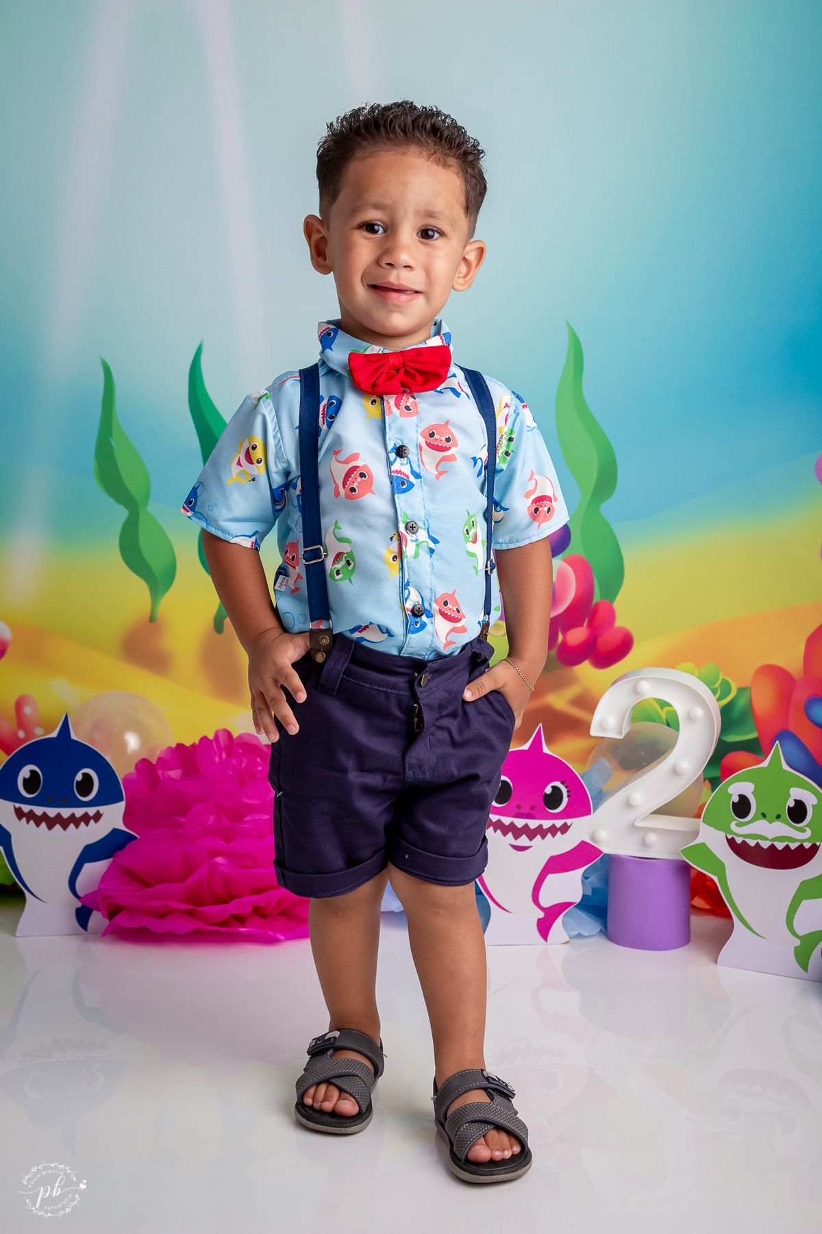 Ensaio Infantil Baby Shark - Baby Shark - Pré Festa - Rio de Janeiro - RJ