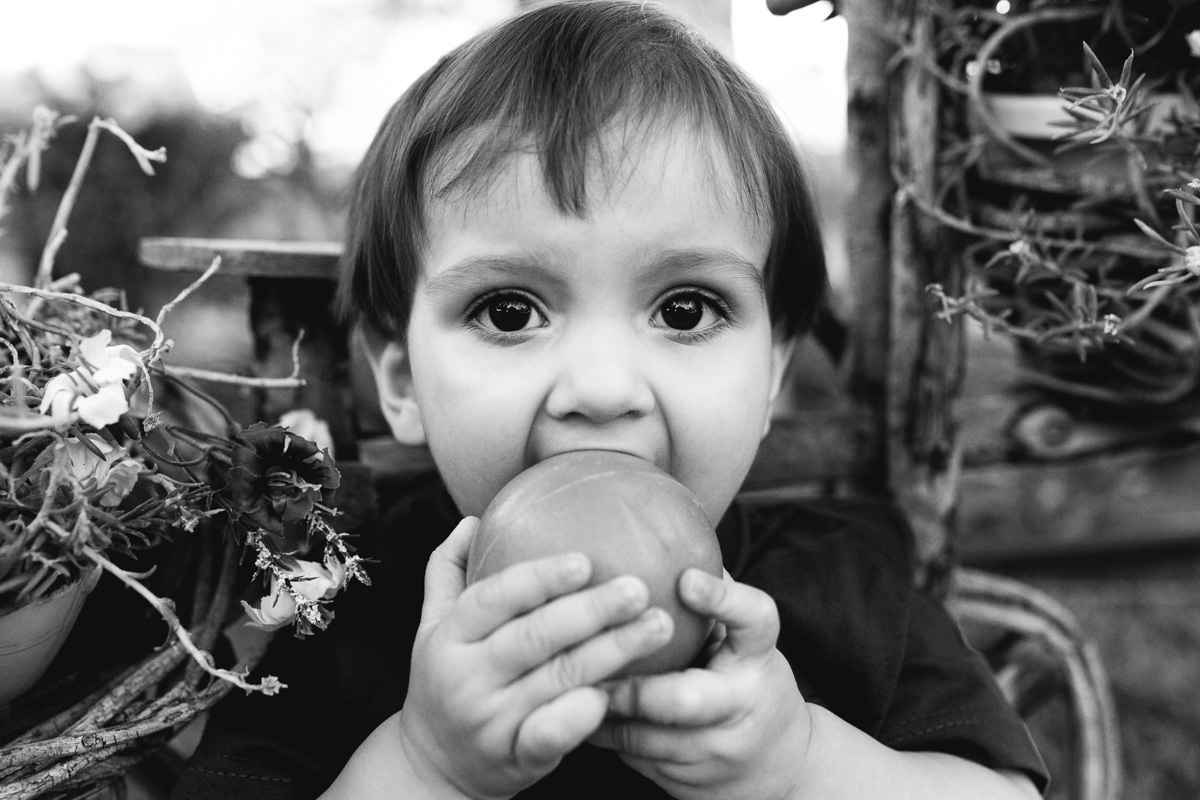 tanque novo, tanque novo aniversario, aniversario de criança, aniversario infantil em bom jesus da lapa, tanque novo , ensaio infantil, festa infantil, melhor fotografo, melhor festa, festa infantil, ensaio , ideias de festa