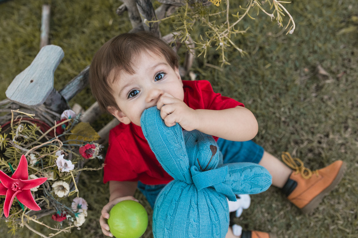 tanque novo, tanque novo aniversario, aniversario de criança, aniversario infantil em bom jesus da lapa, tanque novo , ensaio infantil, festa infantil, melhor fotografo, melhor festa, festa infantil, ensaio , ideias de festa/sitiodomato