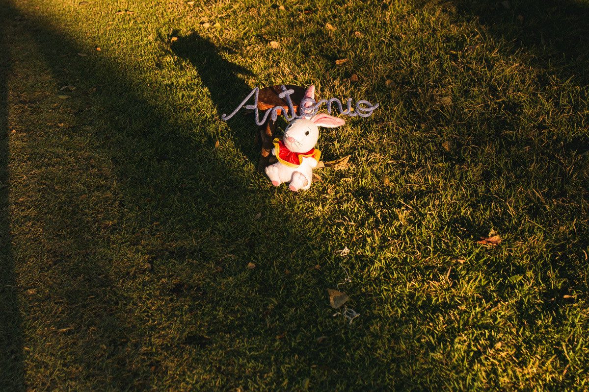 tanque novo, tanque novo aniversario, aniversario de criança, aniversario infantil em bom jesus da lapa, tanque novo , ensaio infantil, festa infantil, melhor fotografo, melhor festa, festa infantil, ensaio , ideias de festa/sitiodomato