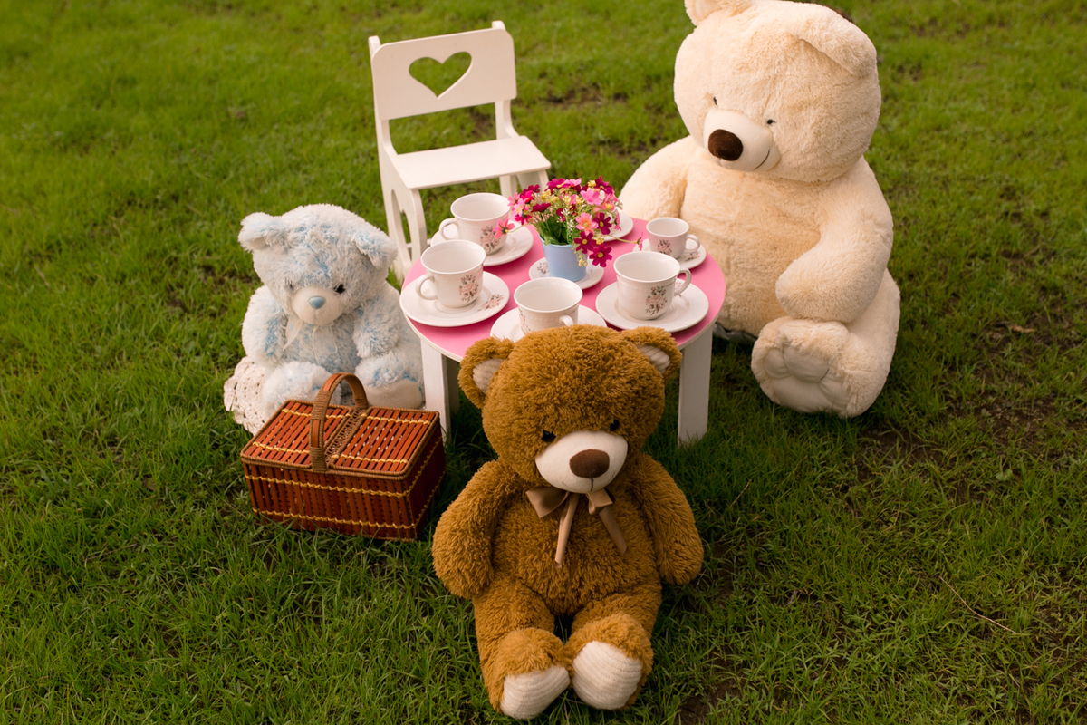 tanque novo, tanque novo aniversario, aniversario de criança, aniversario infantil em bom jesus da lapa, tanque novo , ensaio infantil, festa infantil, melhor fotografo, melhor festa, festa infantil, ensaio , ideias de festa