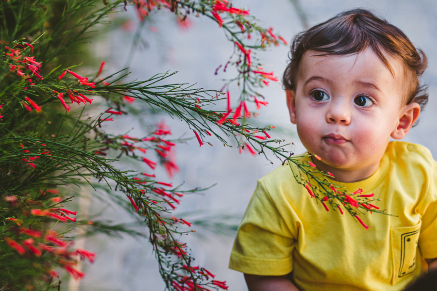 #ensaiofamilia #ensaiogestante #ensaioinfantil #ensaiofotografico #ensaiocriança #familia #crianças #criancas #acompanhamento #fotografiainfantil l #ensaioexterno #fotografiadecriancas #fotografiadefamilia #ensaiofotografico #canon #canonlens #children #k