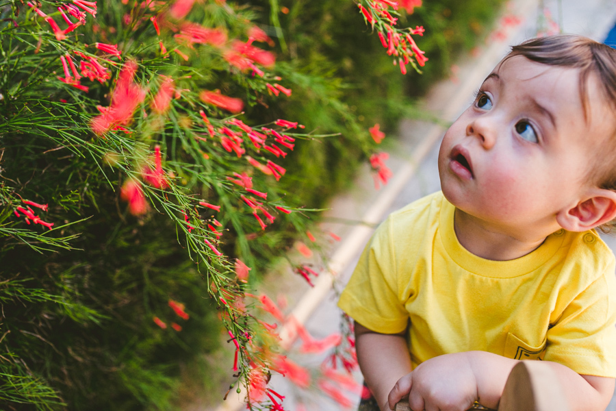 #ensaiofamilia #ensaiogestante #ensaioinfantil #ensaiofotografico #ensaiocriança #familia #crianças #criancas #acompanhamento #fotografiainfantil l #ensaioexterno #fotografiadecriancas #fotografiadefamilia #ensaiofotografico #canon #canonlens #children #k