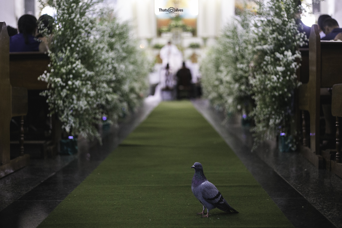 Fotografa de Casamento, Casmaento, Fotografia de casamento, Foto de casamento, Casamento, Casamento lindo, Casamento maravilhoso , Fotografia de Casamento - thaty alves , thaty alves fotografia