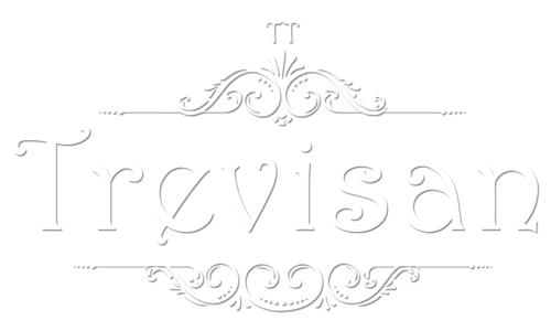 Logotipo de Trevisan Foto e Vídeo