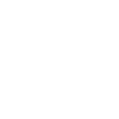 Logotipo de NANDO SILVA FOTOGRAFIAS