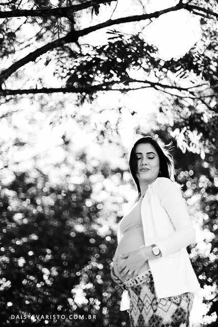 ensaio campo gestante joinville gravida daisy evaristo fotografo profissional parque de france