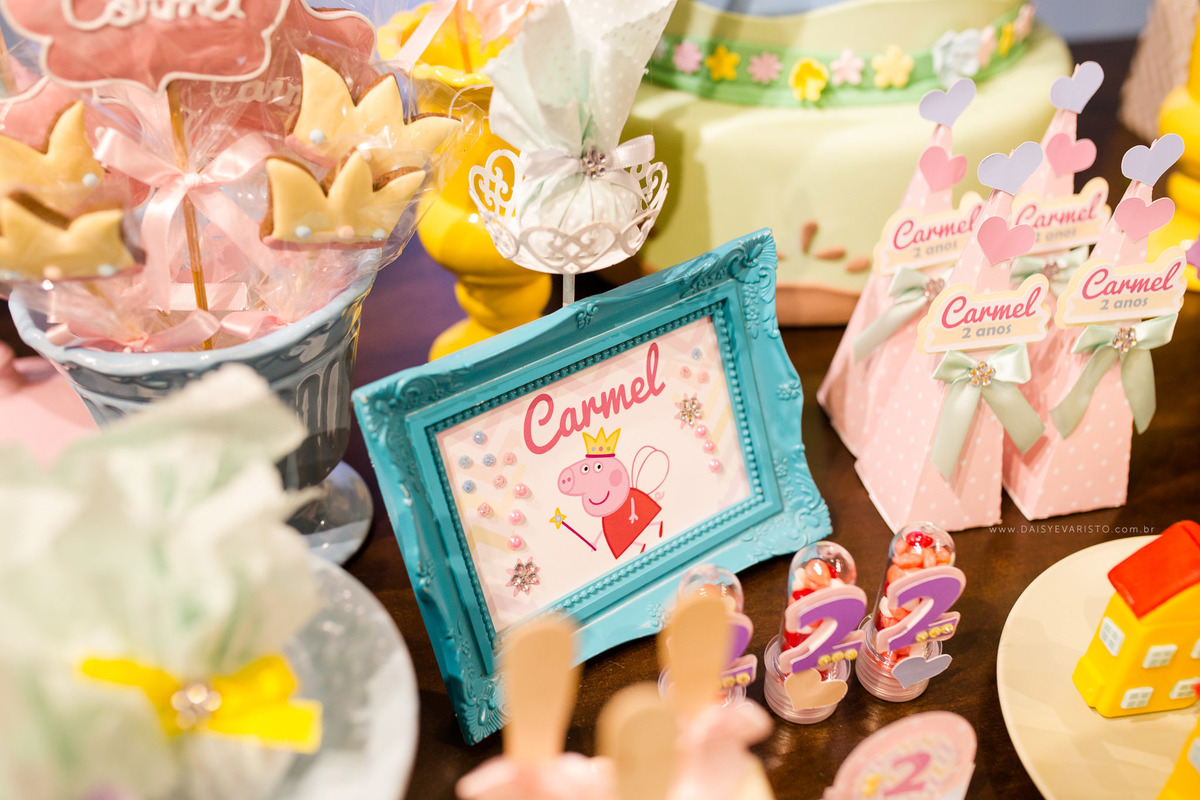 fotografo joinville daisy evaristo deise deisi daise dayse deisy casamento aniversario decoração mini wedding espaço festa infantil ensaio externo estudio gestante gravida familia criança acompanhamento peppa personalizado Carmel 2 anos