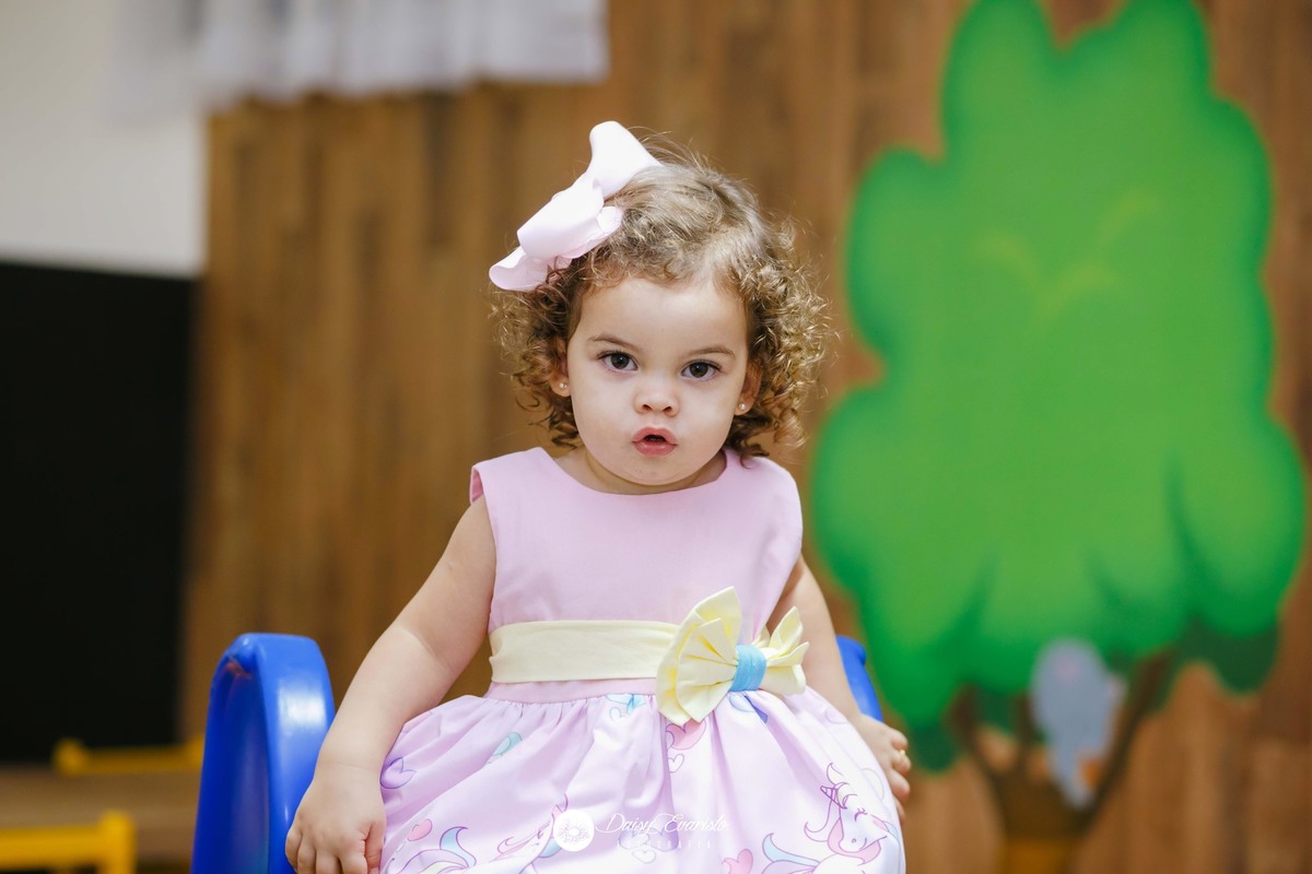 fotografo casamento mini wedding aniversario gestante gravida gravidez festa joinville unicornio algodão doce festas decoração livia s anos bolo arco iris deisi daise dayse