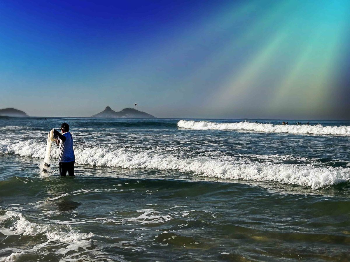 Fotografia da Natureza - RJ