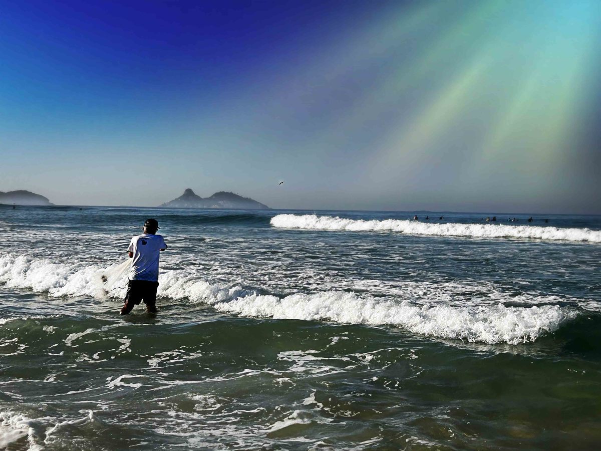 Fotografia da Natureza - RJ