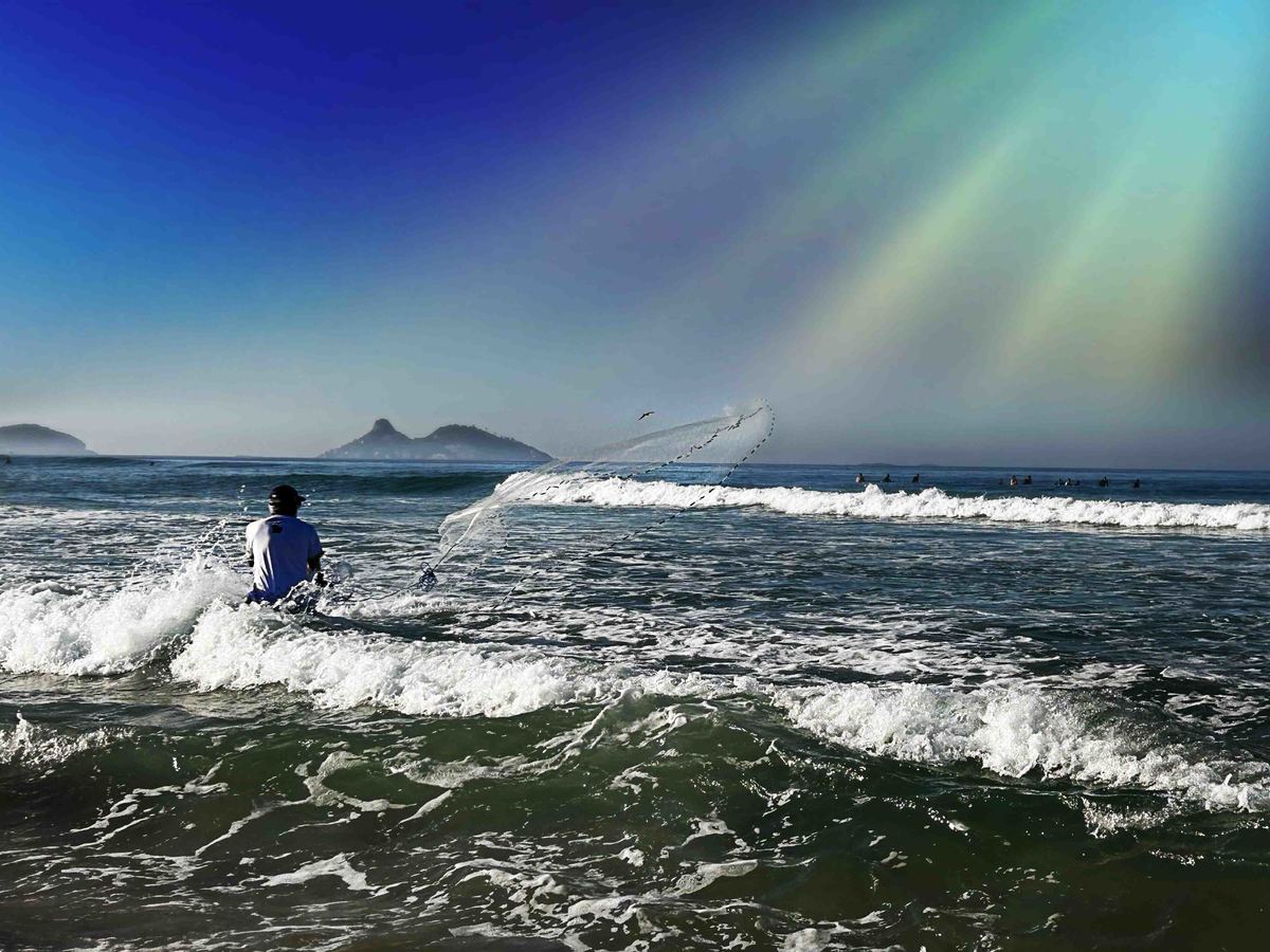 Fotografia da Natureza - RJ