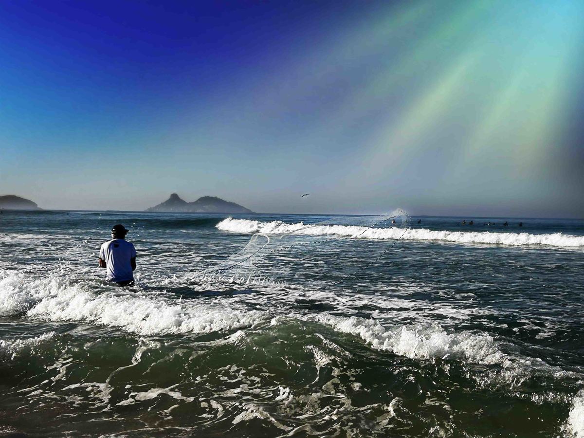 Fotografia da Natureza - RJ