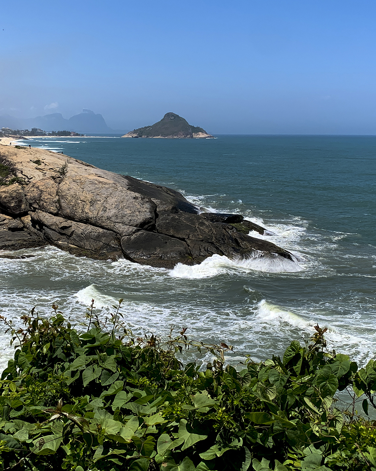 Fotografia da Natureza - RJ
