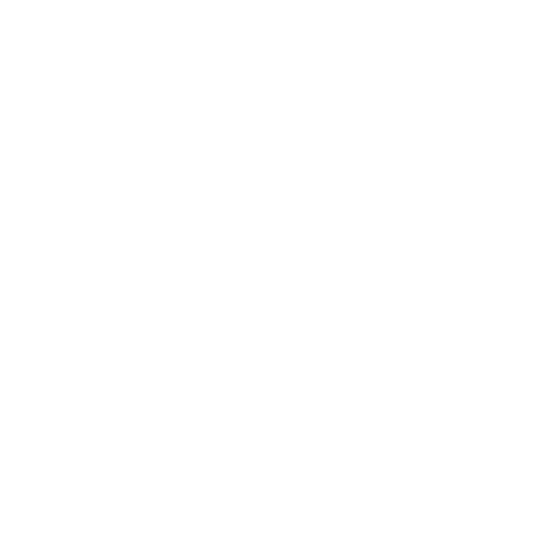 Logotipo de Vanessa Santos