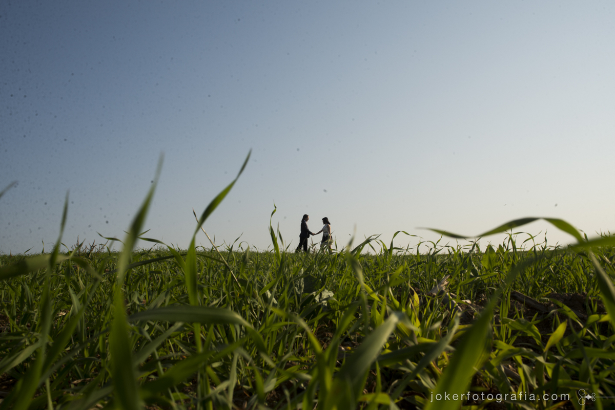 ensaio externo de casal em plantação feito após o casamento civil