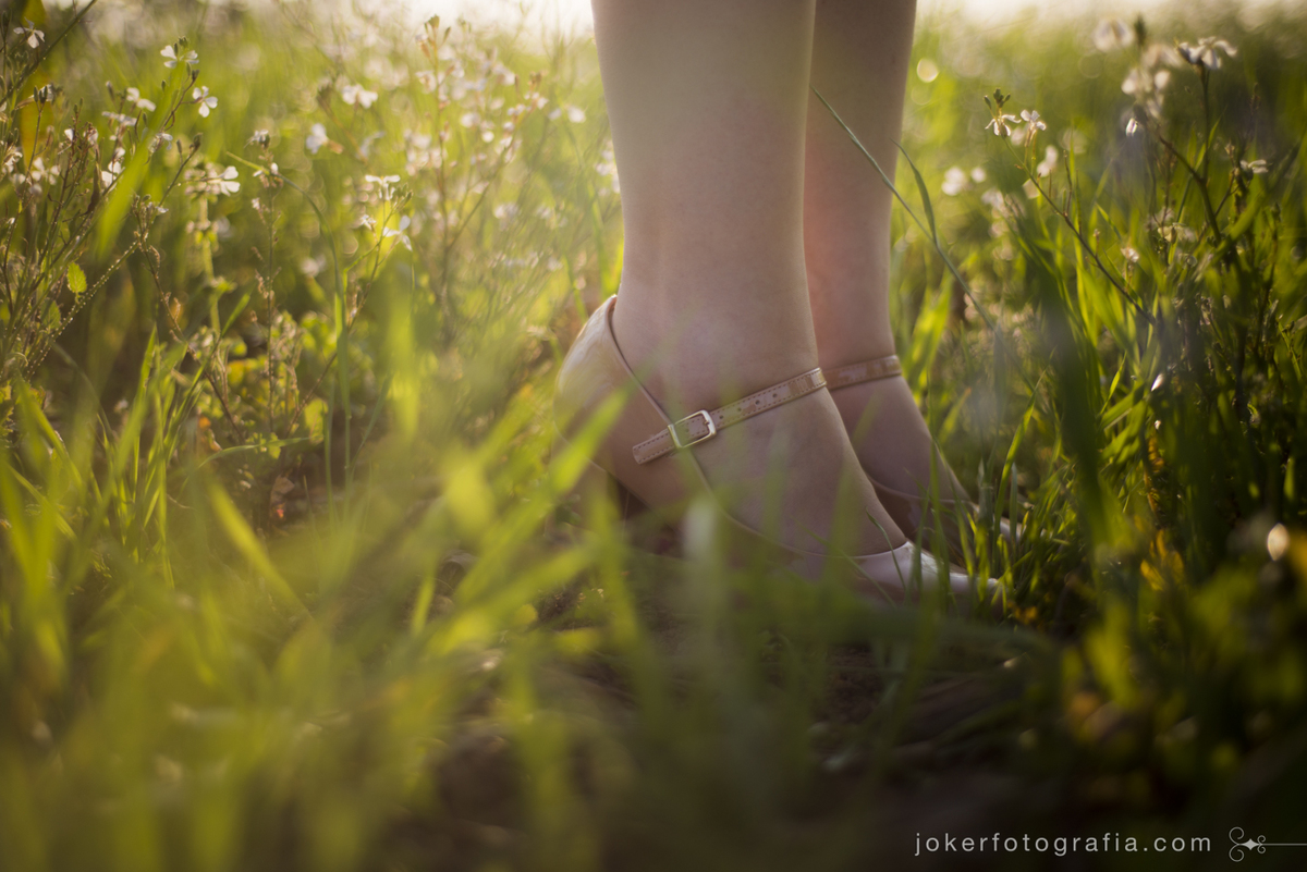 fotógrafo de casamento em curitiba faz foto do sapatinho da noiva em um campo florido