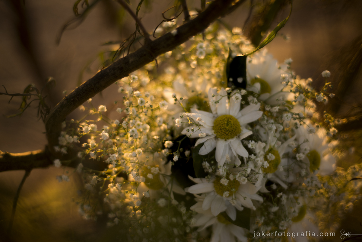 buquê de noiva simples com margaridas e mosquitinhos
