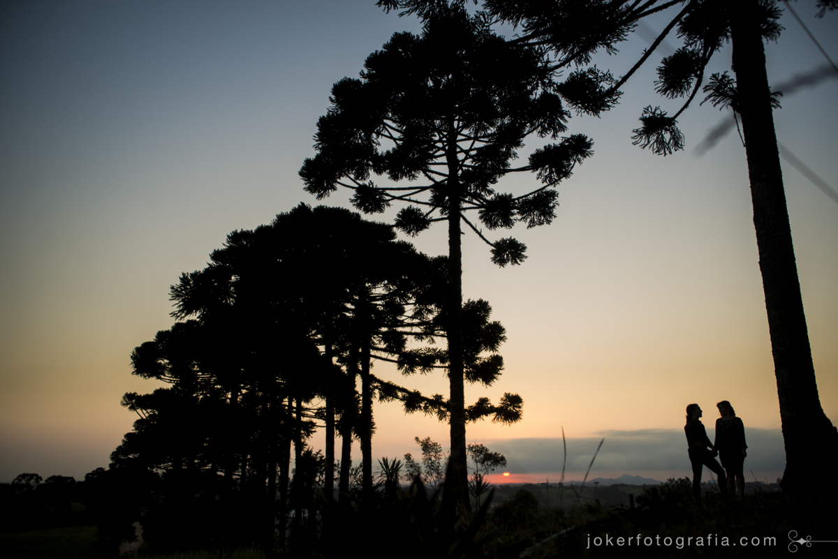 pôr do sol com pinheiros do paraná é o cenário que os fotógrafos escolheram para finalizar este ensaio de casal