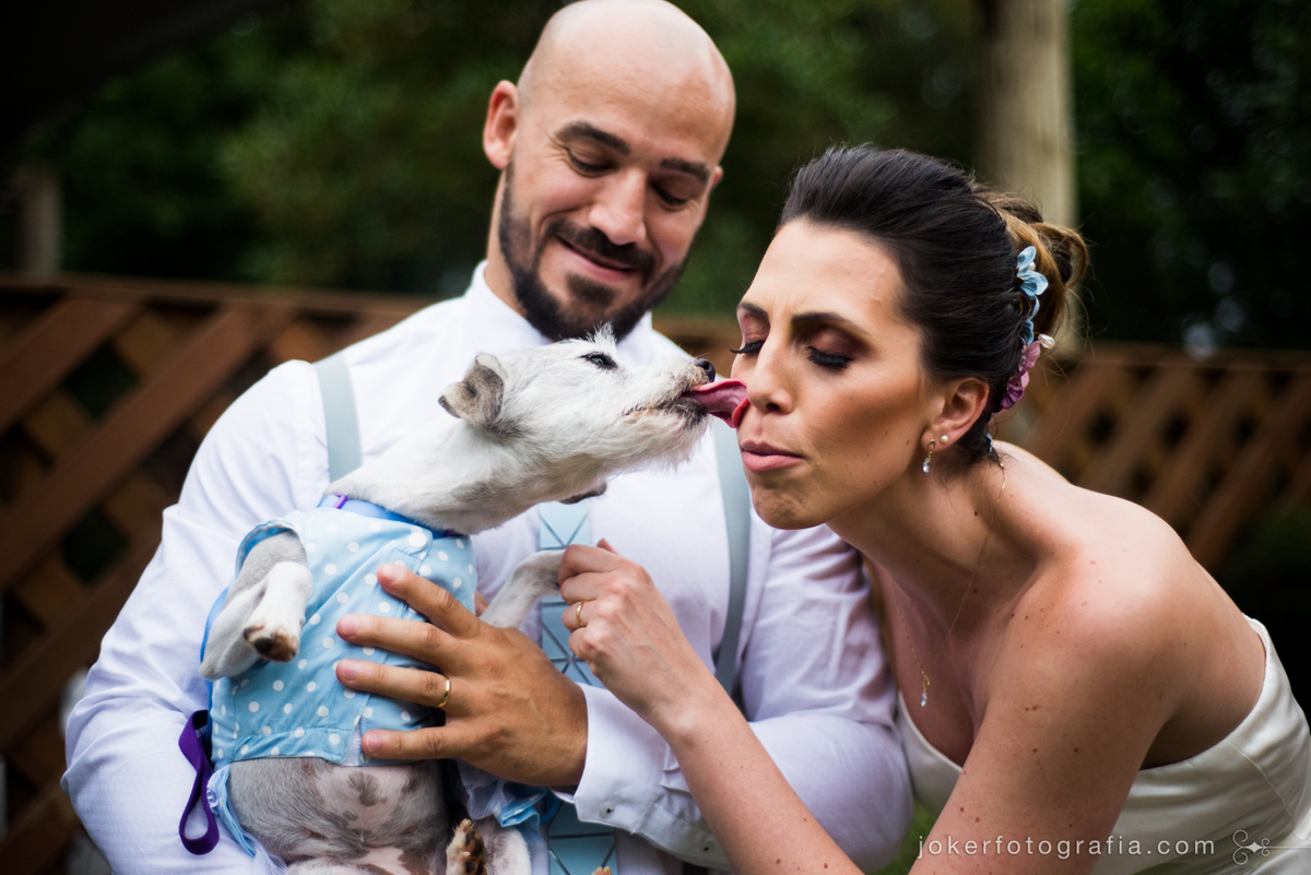 pets no casamento alegram os noivos