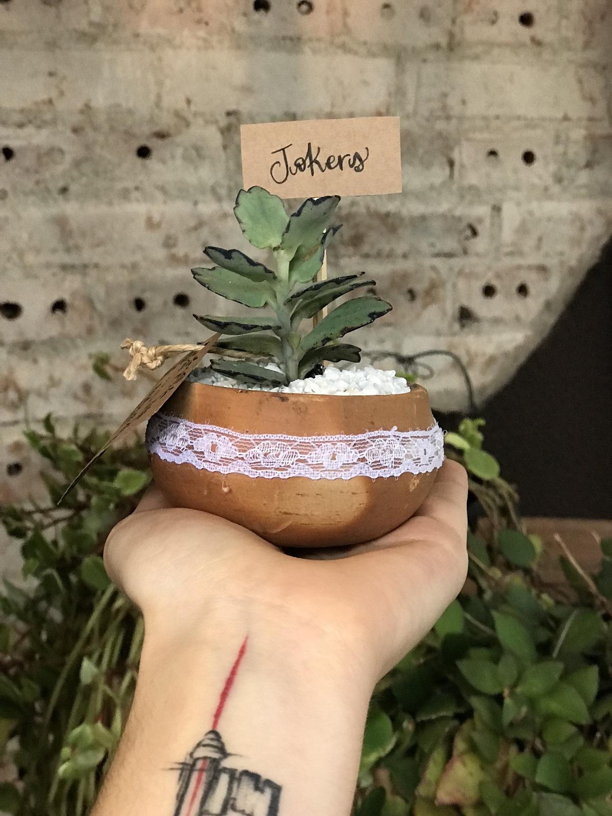 lembrancinha diy suculenta casamento