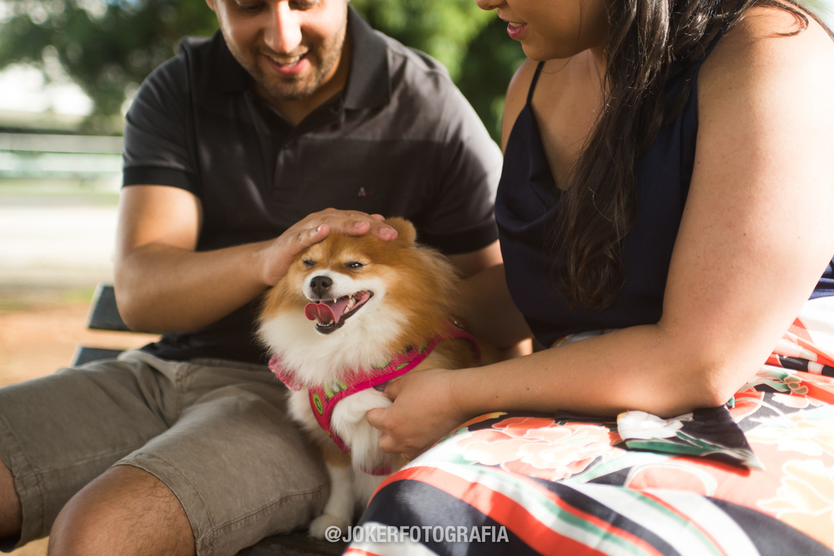 book de casal com cachorro