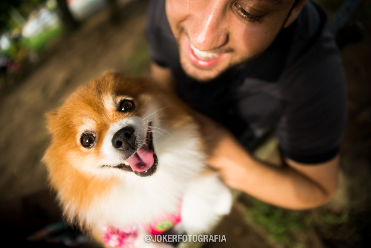 ensaio lifestyle com cachorro da familia