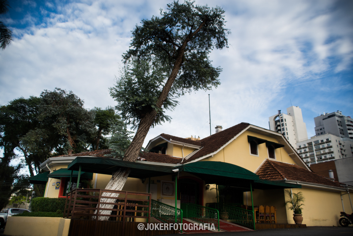 lellis trattoria casamento jantar em curitiba