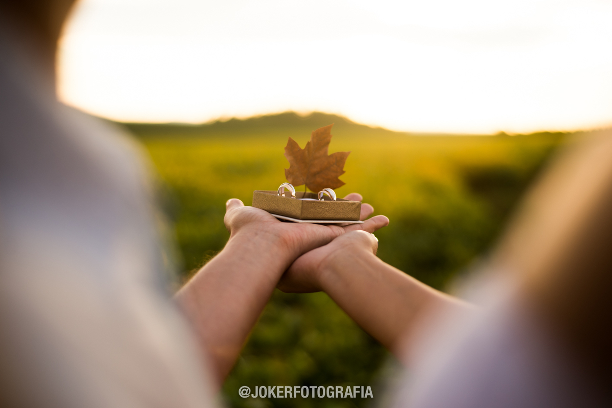 aliança cartier em curitiba 3 cores tres alianças de casamento