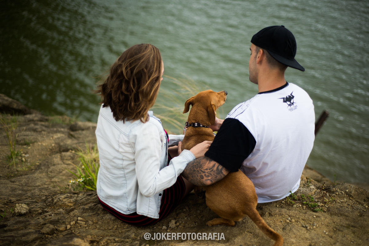 ensaio de família com cachorro book com fotógrafo de curitiba