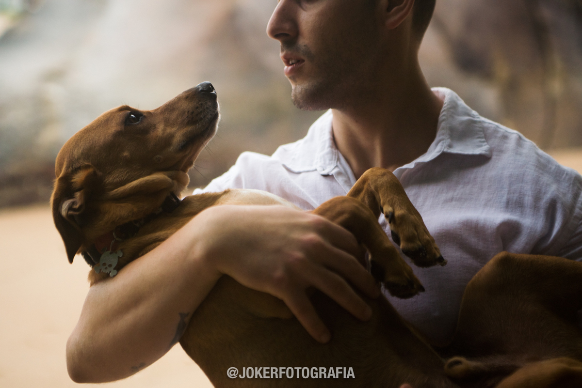 ensaio de família com cachorro book com fotógrafo de curitiba