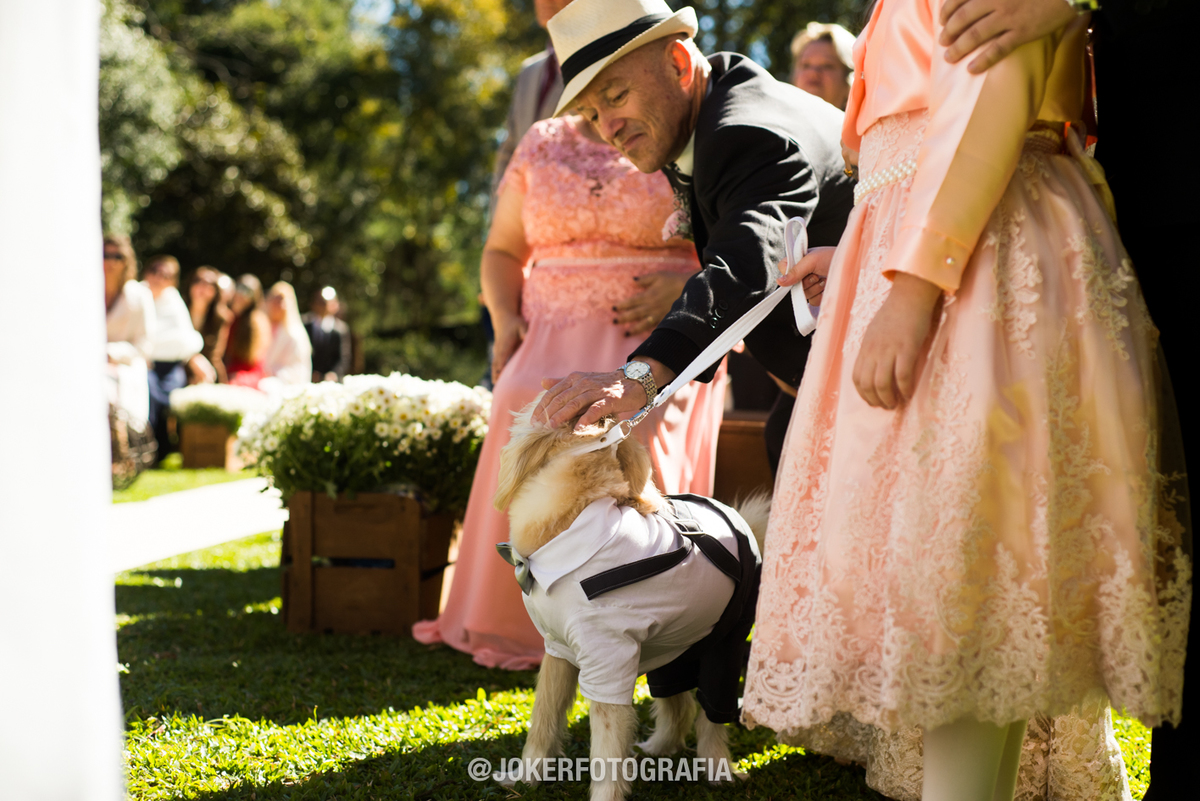 cachorro entrando com as alianças no casamento