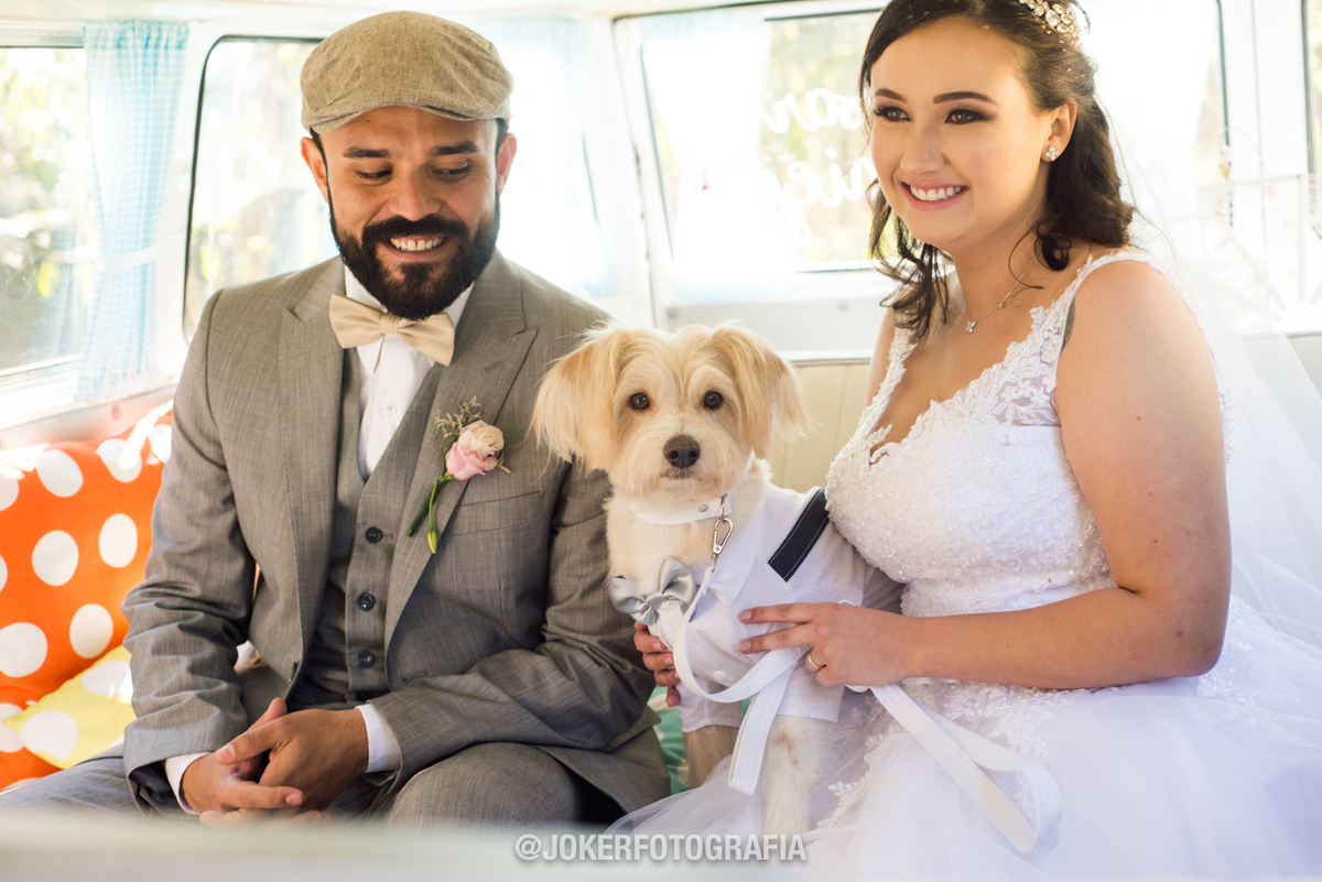 cachorro entrando com as alianças no casamento