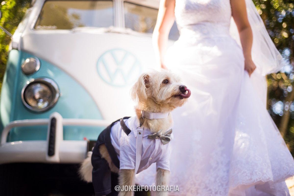 fotógrafo de casamento em curitiba cachorrinho de pajem levando as alianças