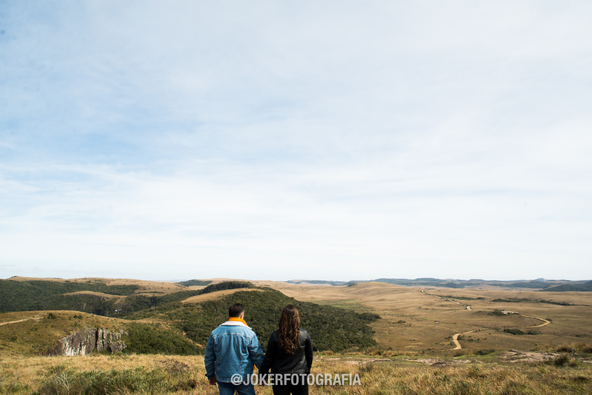 vista do parque nacional da serra geral aparados da serra cambará