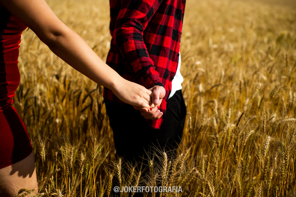 onde tem campo de trigo próximo. curitiba