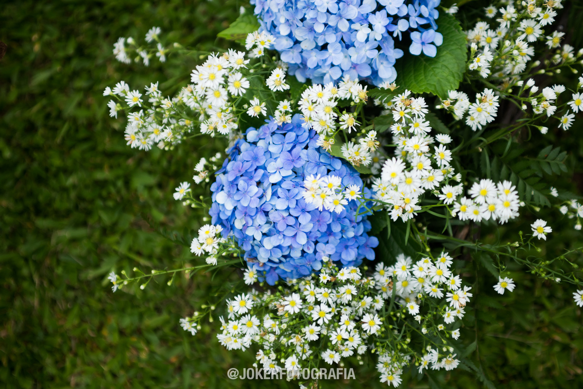 Decoração de casamento ao ar livre em Curitiba com mosquitinhos e hortênsias