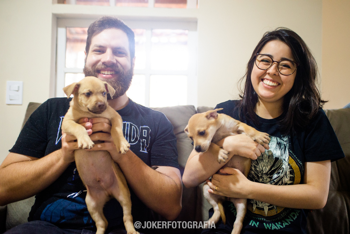 recém casados adotam filhotes de cachorros