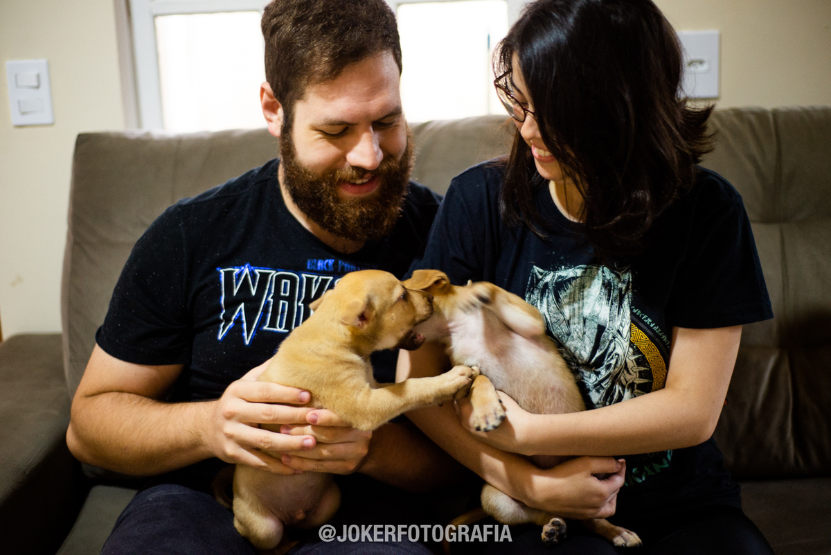 ensaio em casa com cachorrinhos após o casamento