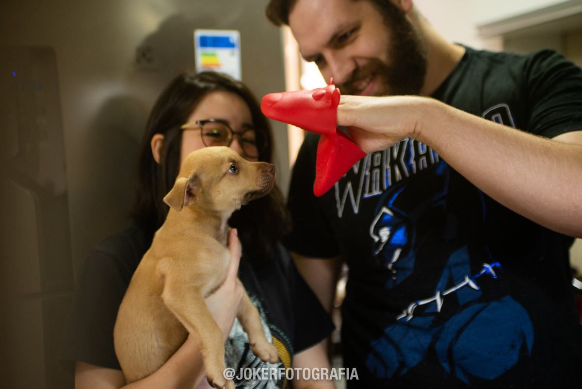 ensaio de casal com novo integrante da família