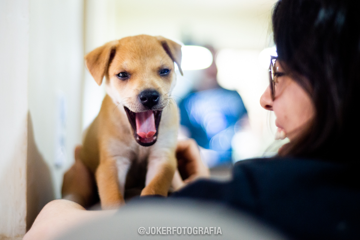 sessão fotográfica sem filtros - fotógrafos apostam em fotos reais do dia a dia de casais comuns