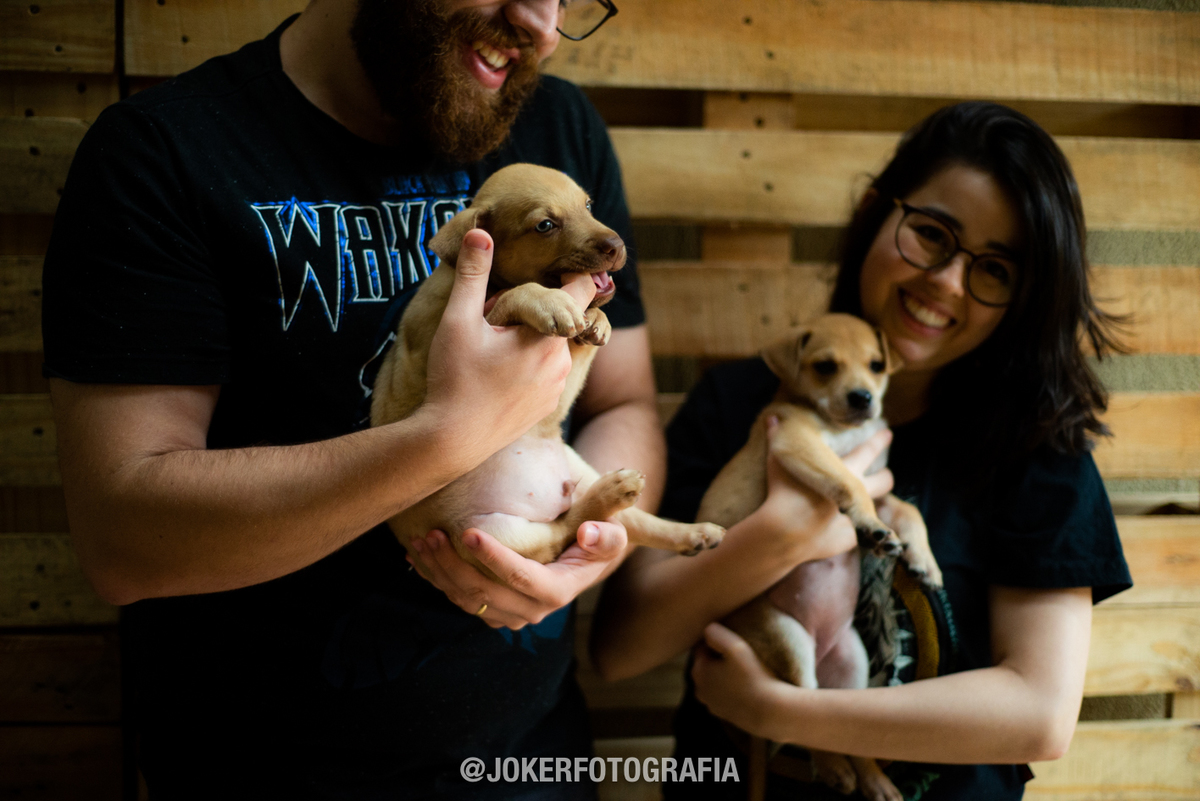 ensaio fotográfico em casa com os cachorros - a beleza do dia a dia de um casal