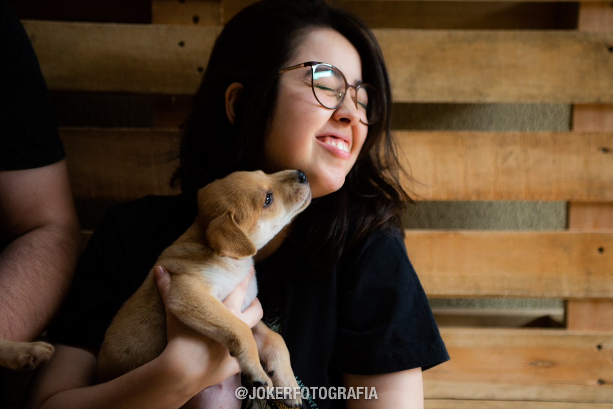 ensaio fotográfico em casa com os cachorros - a beleza do dia a dia de um casal