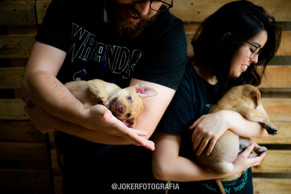 ensaio fotográfico em casa com os cachorros - a beleza do dia a dia de um casal