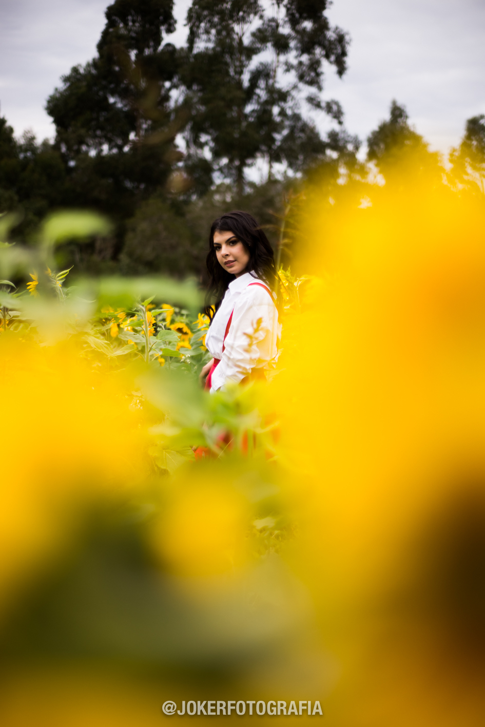 orçamento de fotógrafo para book de 15 anos curitiba